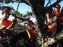 Tree Tactics crew
